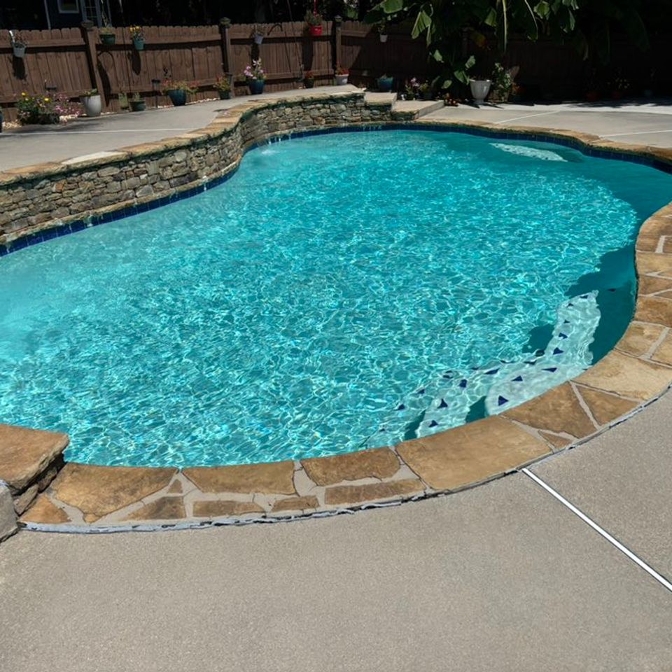 Pool daddy kidney pool