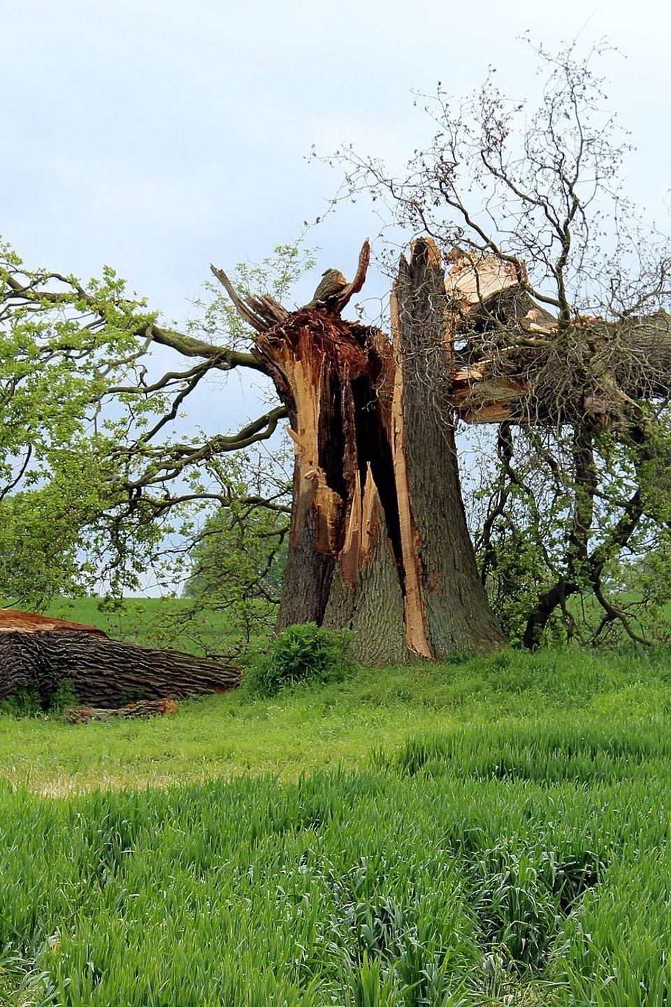 Storm damage g990b17dbc 1920