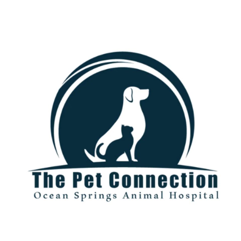 The pet connection original