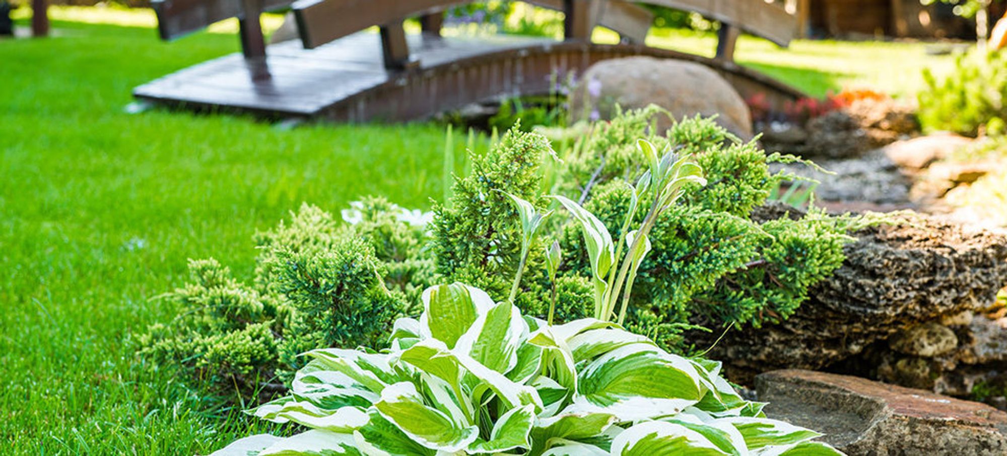 Loveland & Fort Collins Landscaping Crystal Landscape Supplies