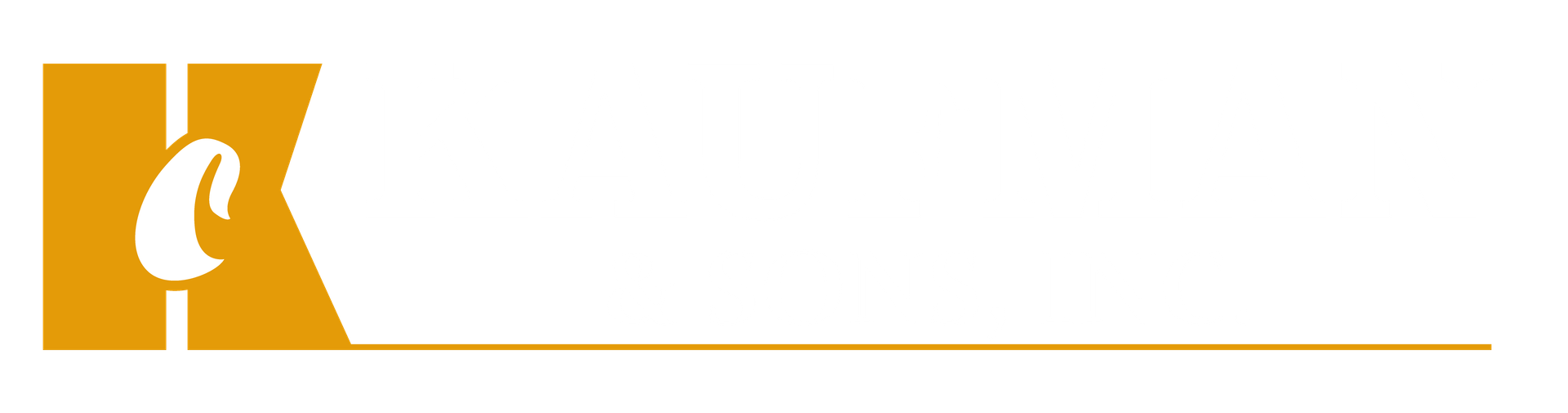 Clifford Kaufman & Sons Inc.