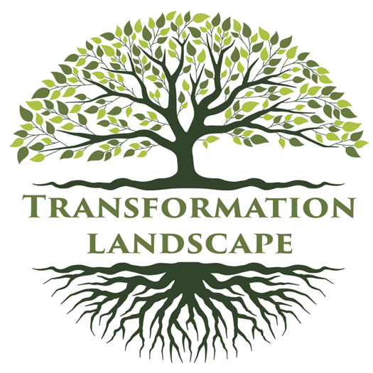 Transformation Landscape