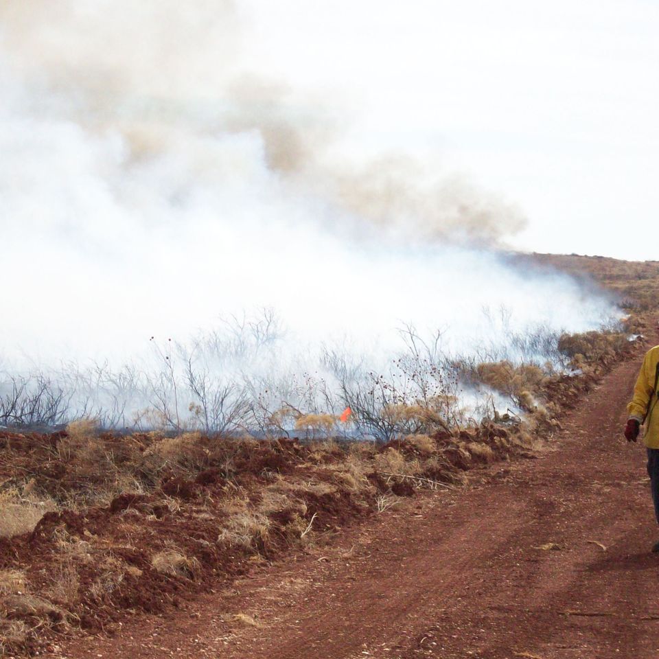 Prescribed fire