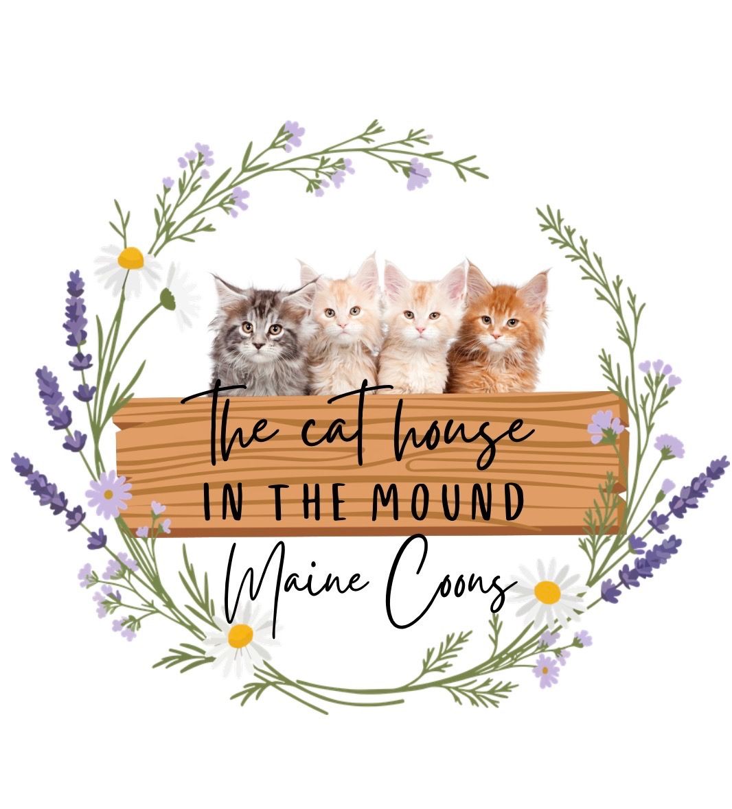 The Cat House in the Mound Maine Coons
