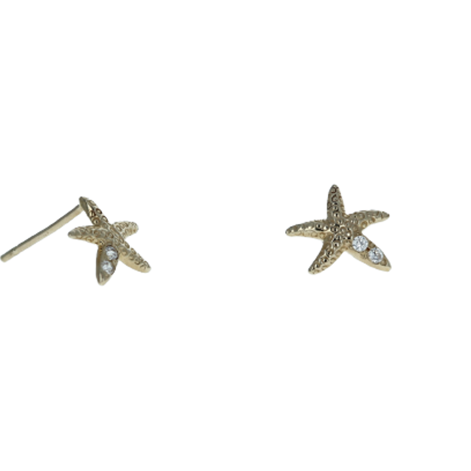 Starfish cz 14k stud scaled removebg preview