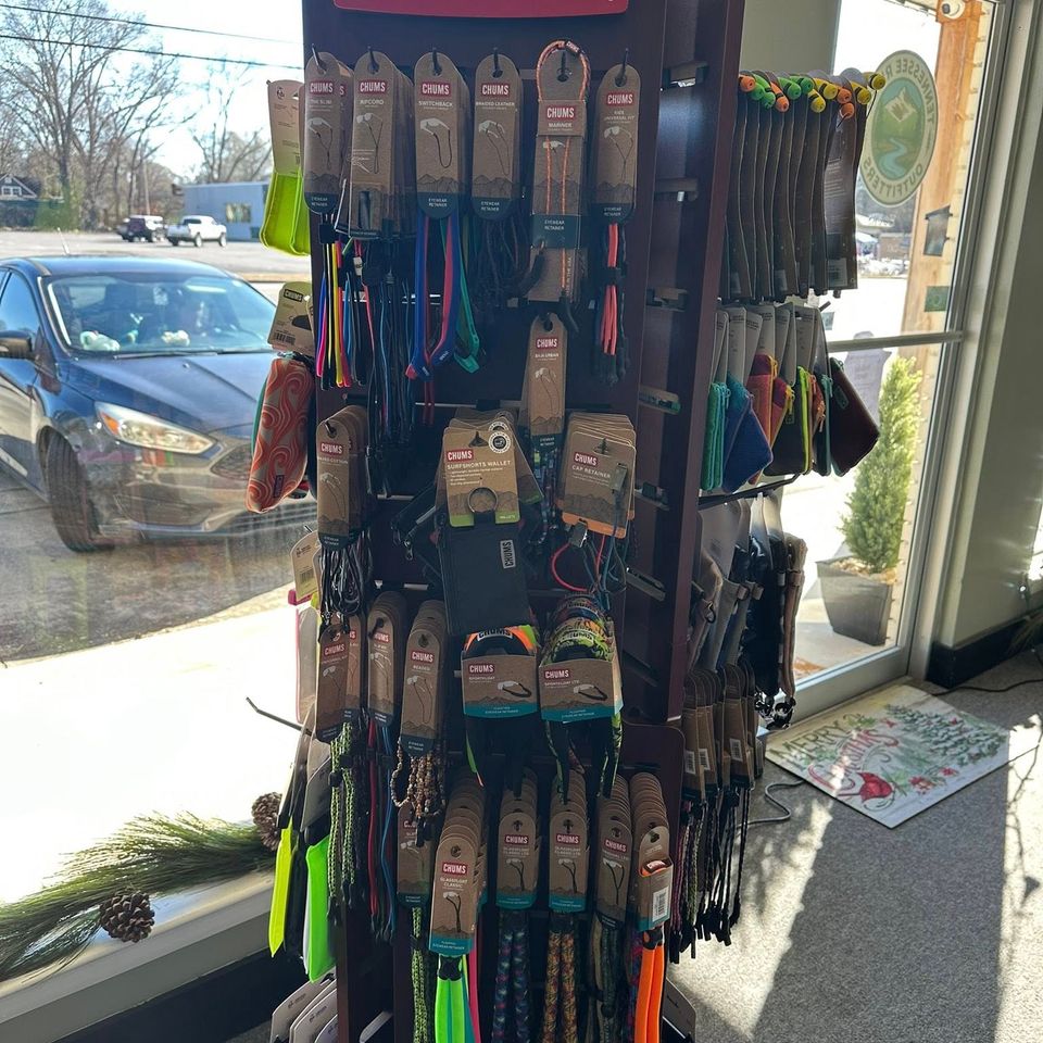 600290462 122137613186968146 317572931777187740 n