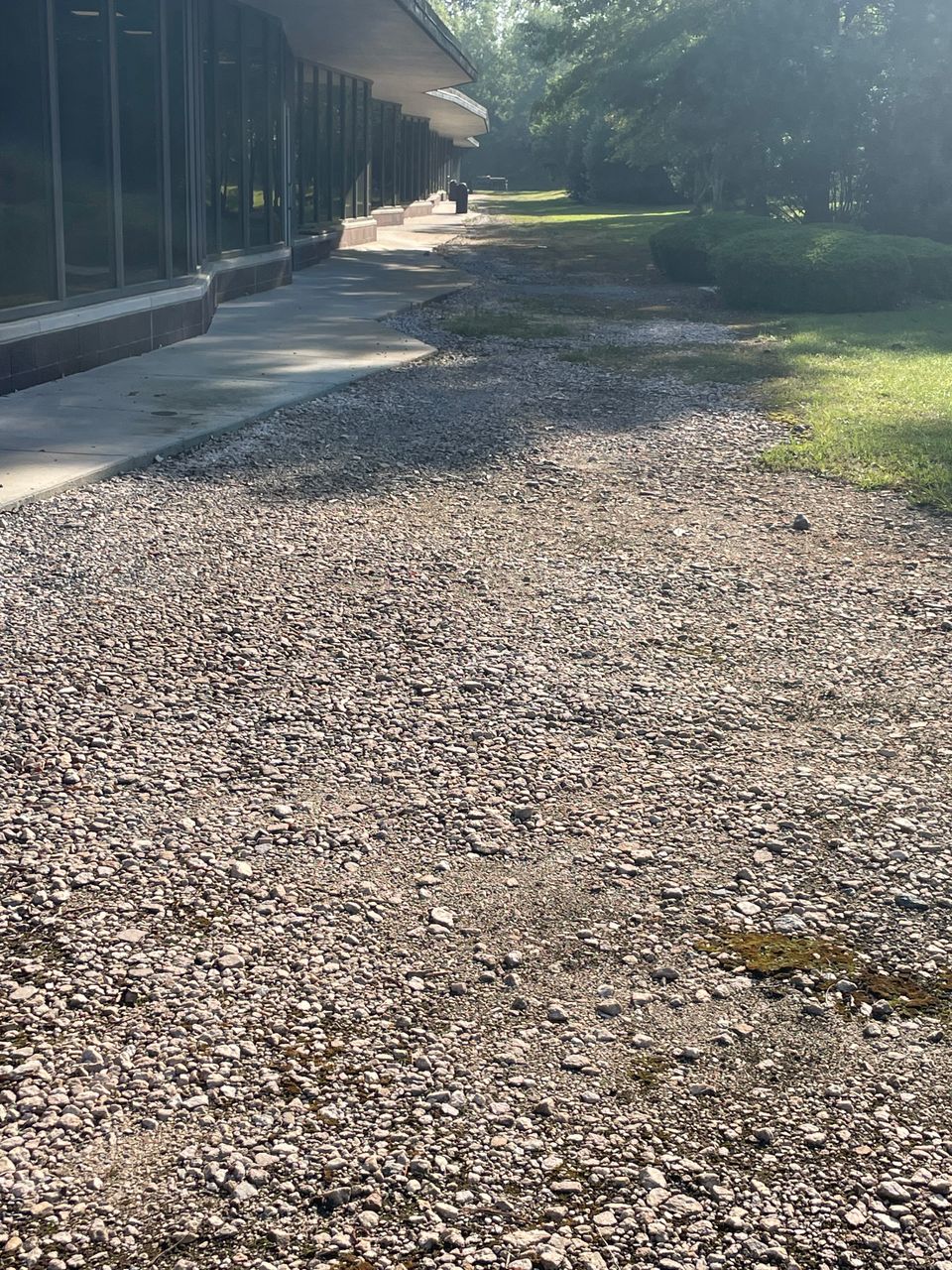 Photo may 20 2025  8 37 00 am