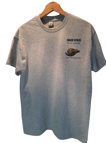 Screenshot 2026 03 12 132128