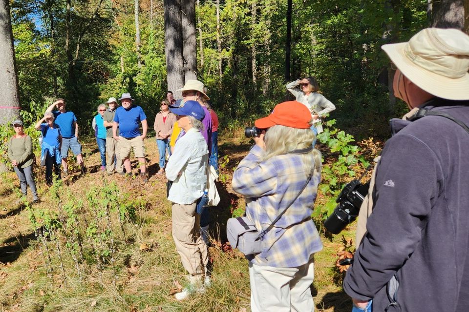 Charm bracelet 25th anniversary hike