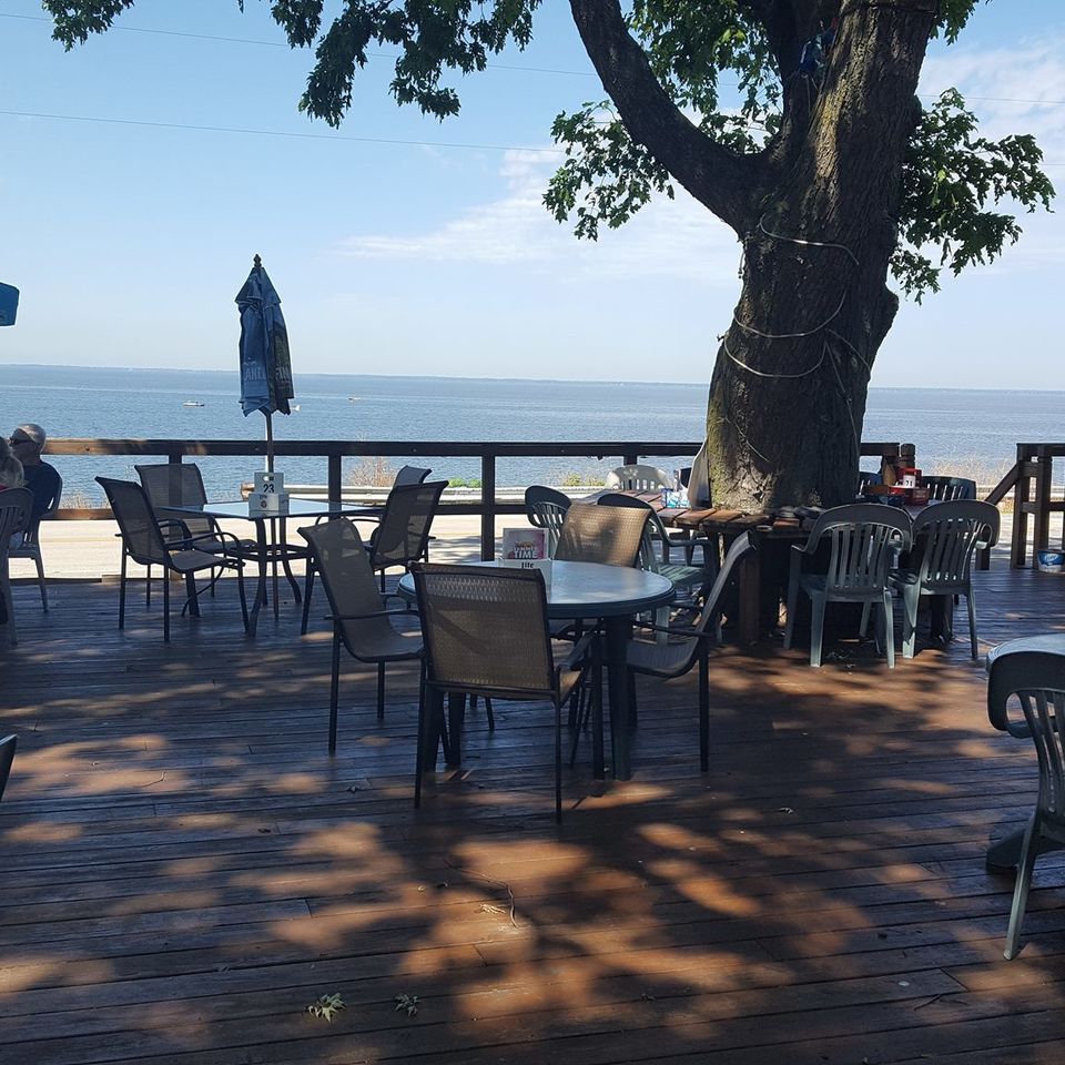 Big tree on deck20180405 2034 1q3ssik