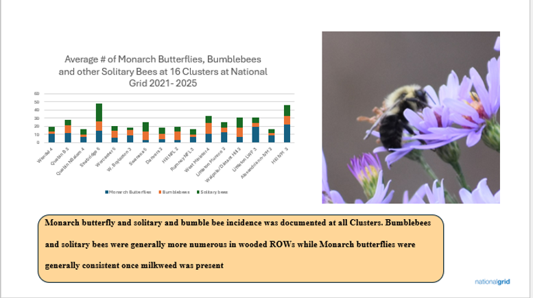 Butterfly bees chart   powerpoint (2)