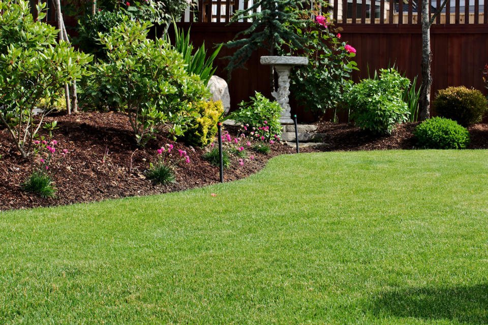 Beautiful residential yard featuring manicured grass, mulched landscape beds, shrubs, and ornamental plants maintained by R.E.P. Companies.