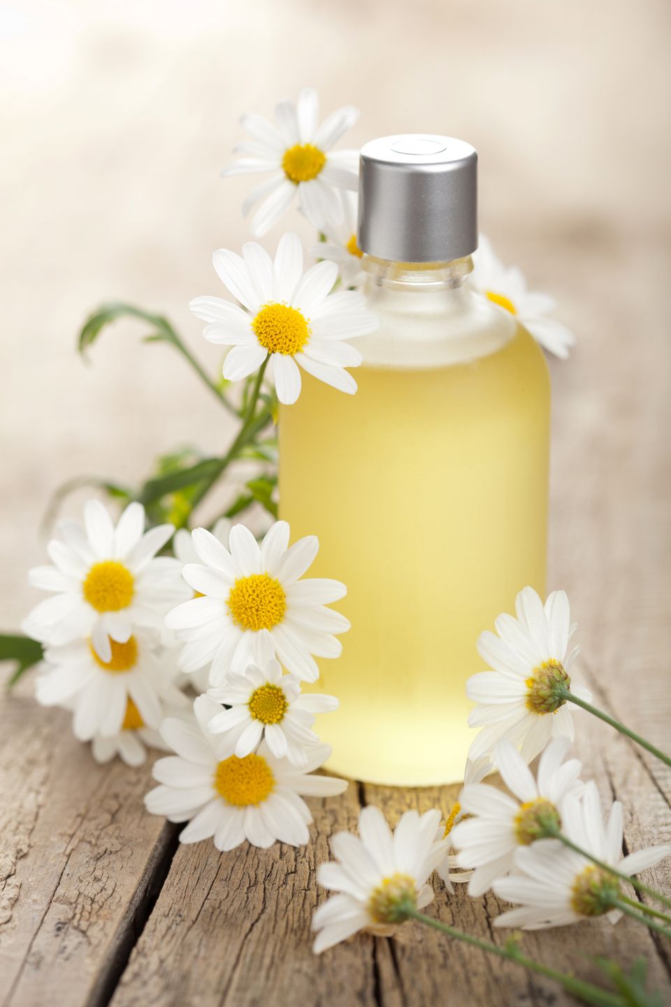 Istock 147886679