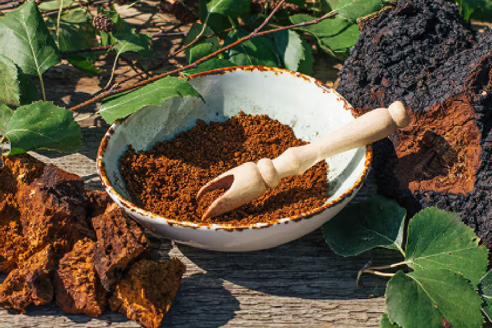 Chaga mushroom powder image