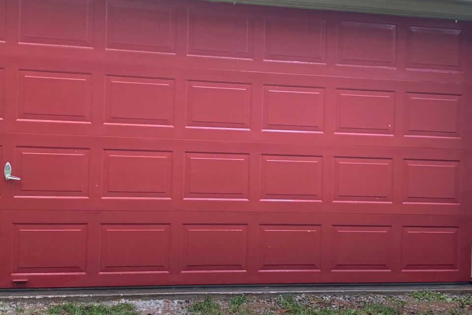 Img 1310