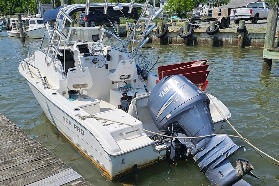 Sea pro boat