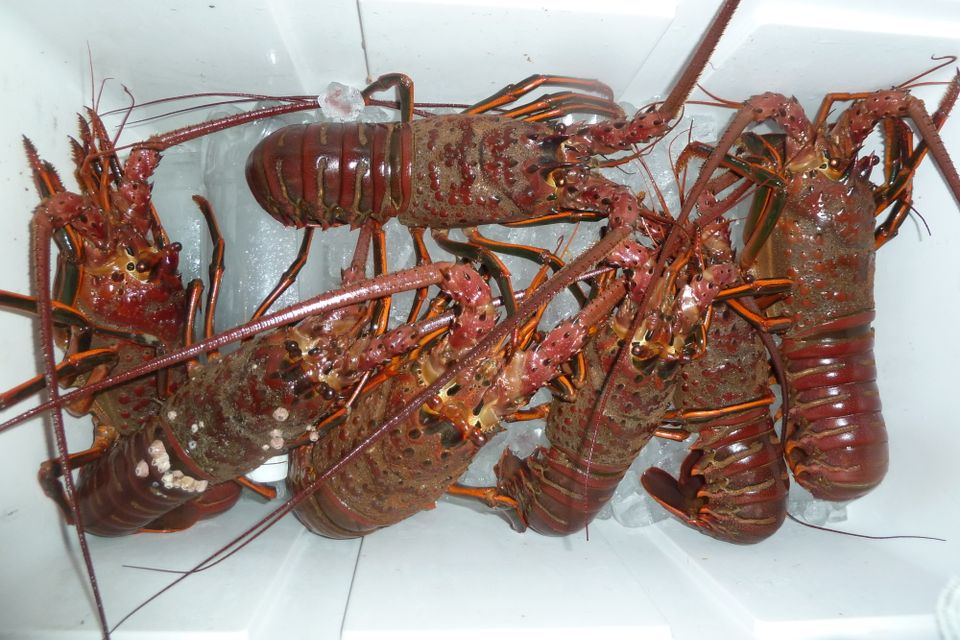 October 12  2014 006