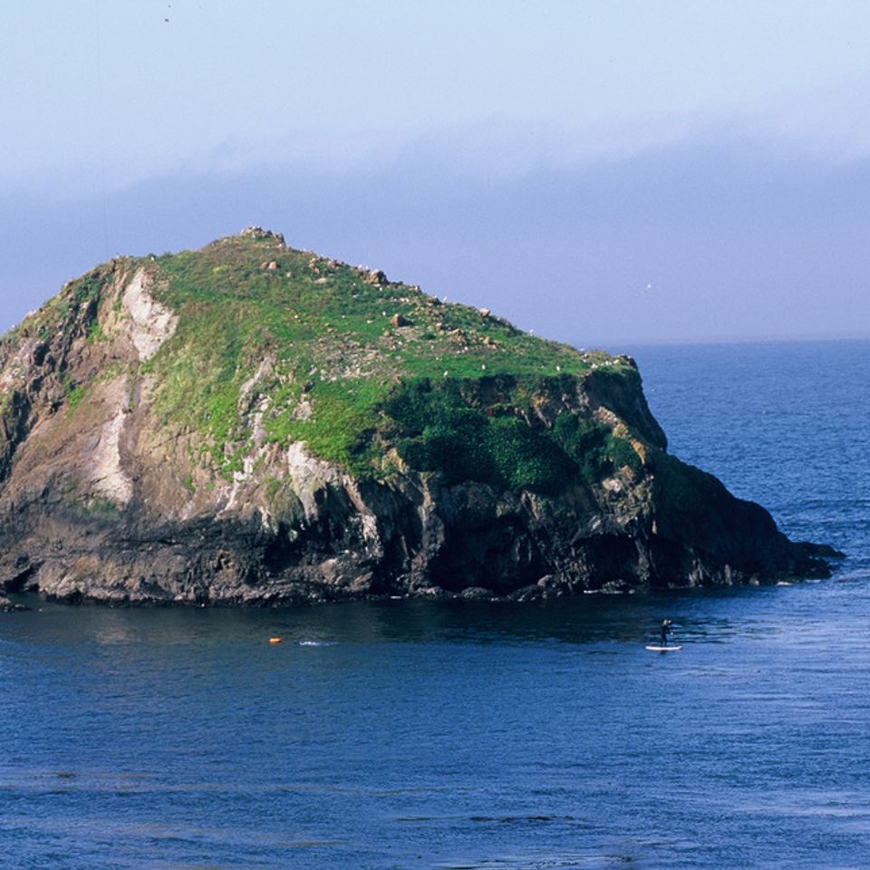 Chuckgraham mendocino img01420121130 1865 4rkpx4 0