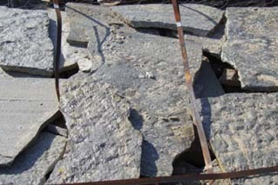 Quartzite20170601 23402 skov0g