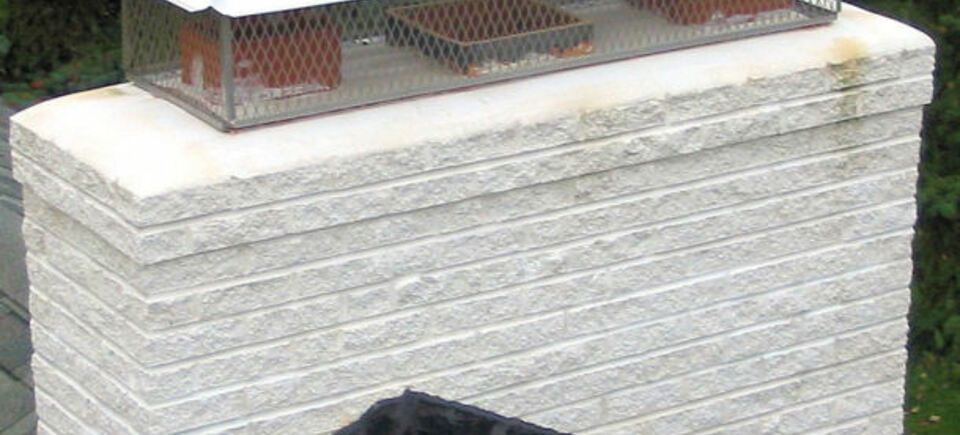 Chimney cap white plains