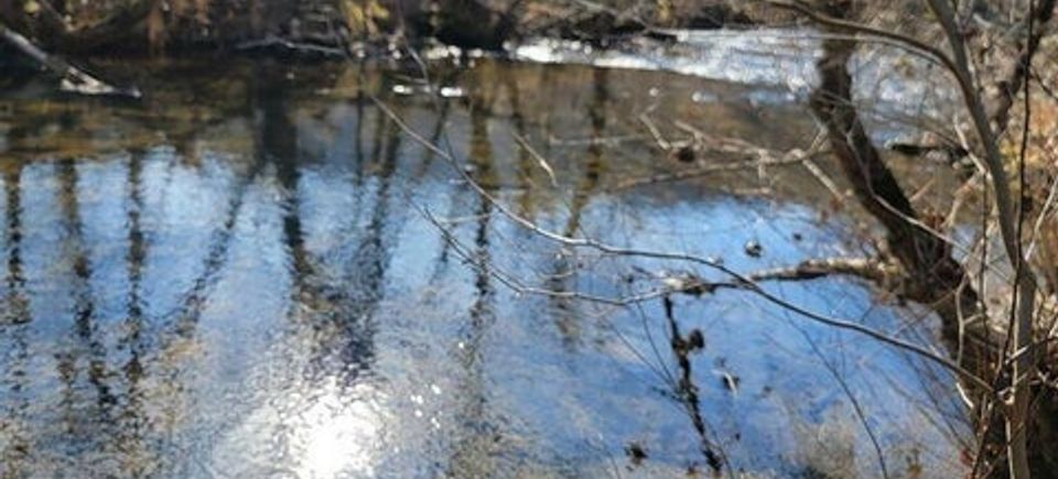 Hurricane rd.  jonesville  va