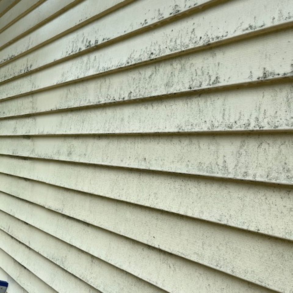 Img 0566