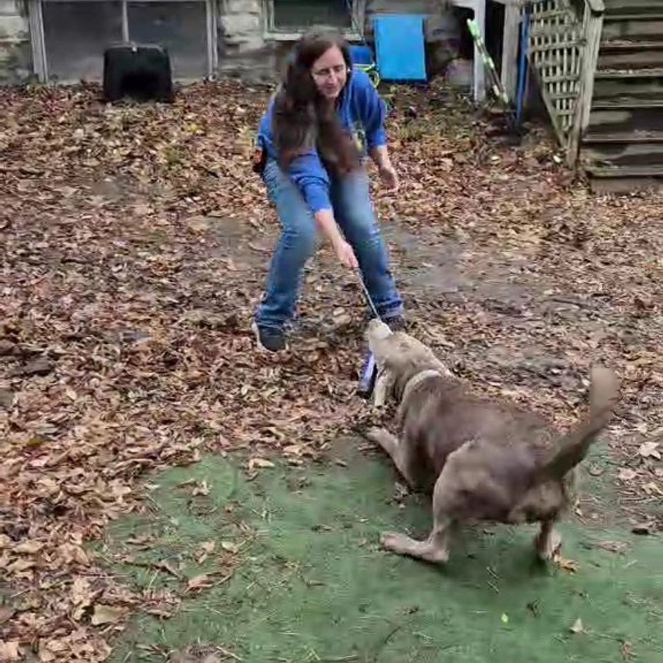 Messenger creation efc5b858 a3cc 4edf ac0f 942712c9aabd exported 11208