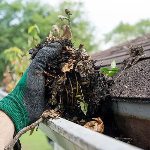 Gutter cleaning