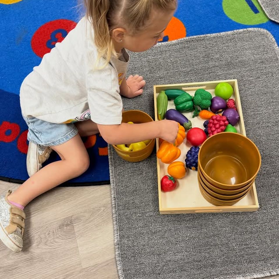 Toddler sorting play fruit and vegetables into wooden bowls during Montessori practical life work in Palmdale CA