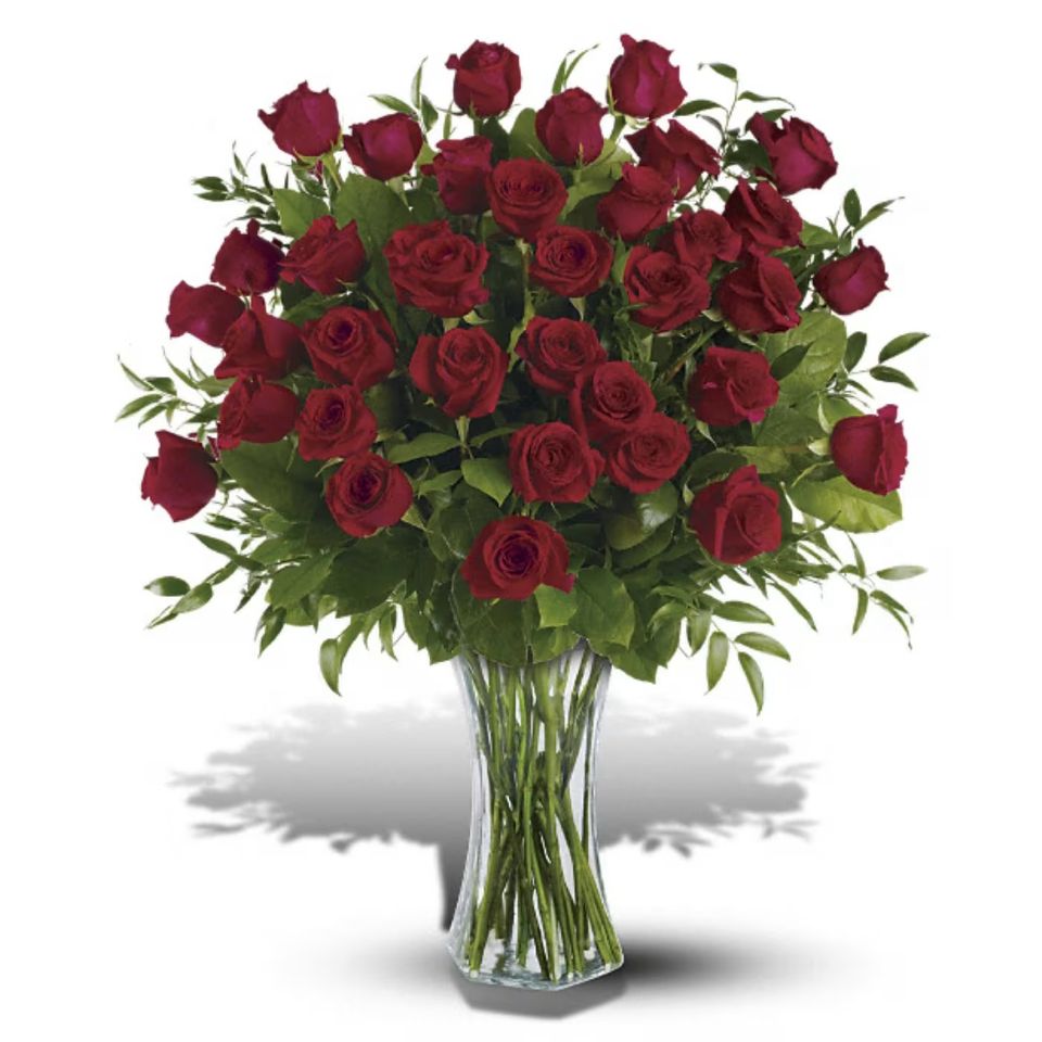 3 dozen roses 657e239a428f2