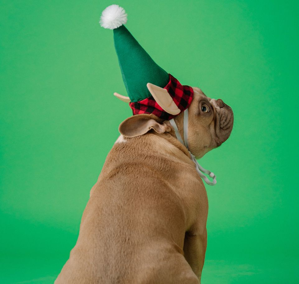 Karsten winegeart w9c6yichkye unsplash