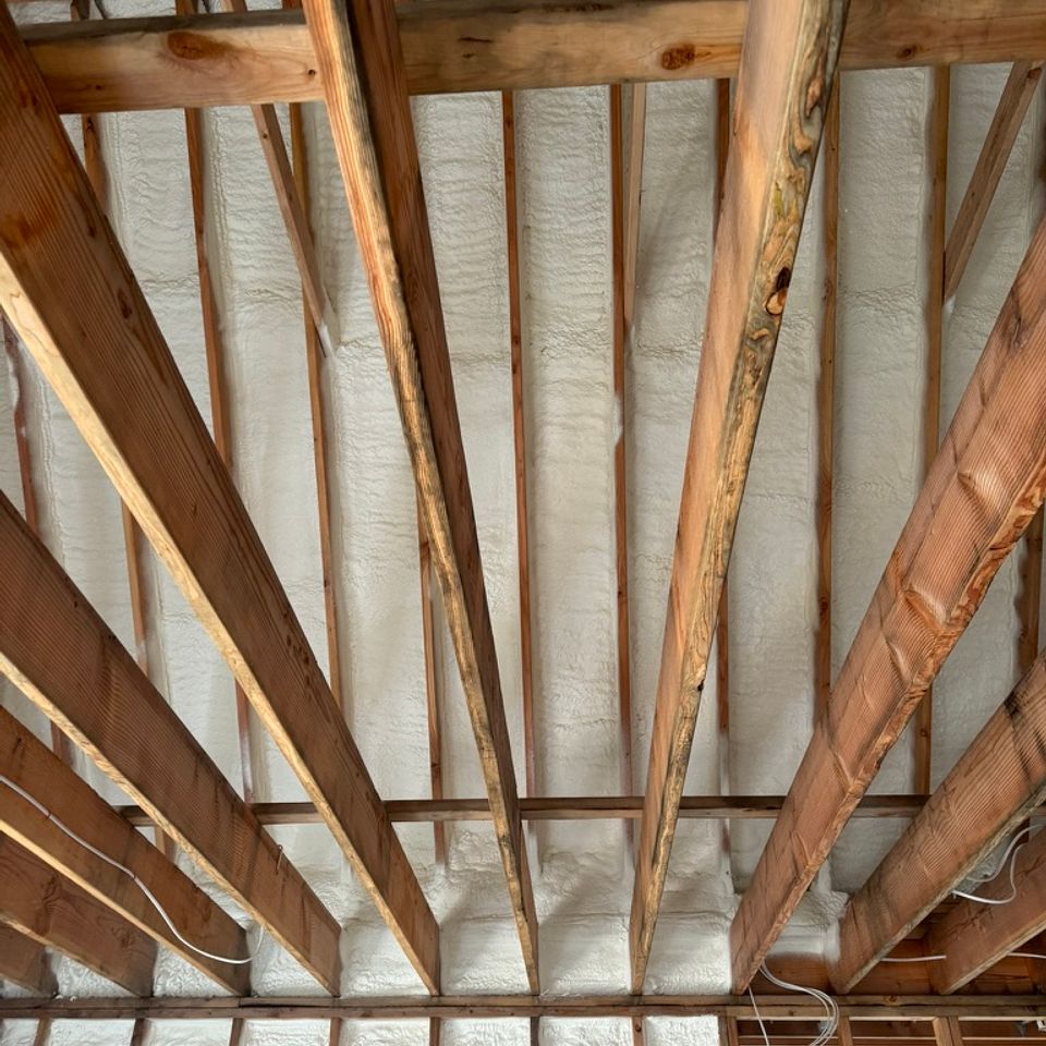 Dbd23563 7491 40b8 a28f 8cc0cfd84cda 1 105 c