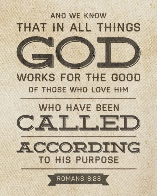 Romans 8 28