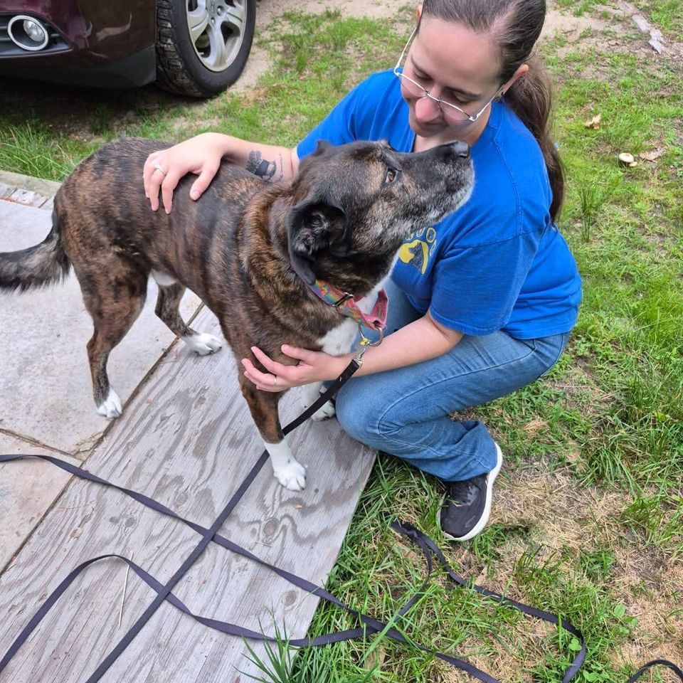 Fb img 1769435064499