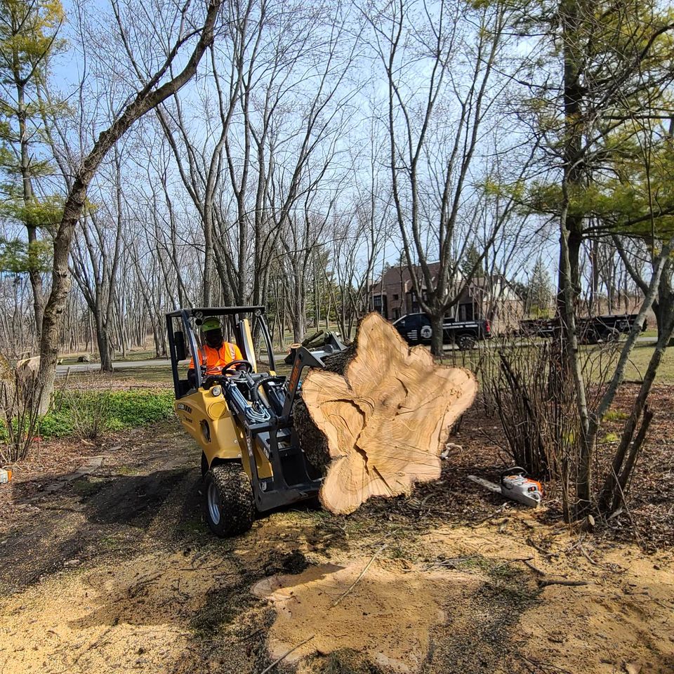 Bobby Tree Care Tree Removal