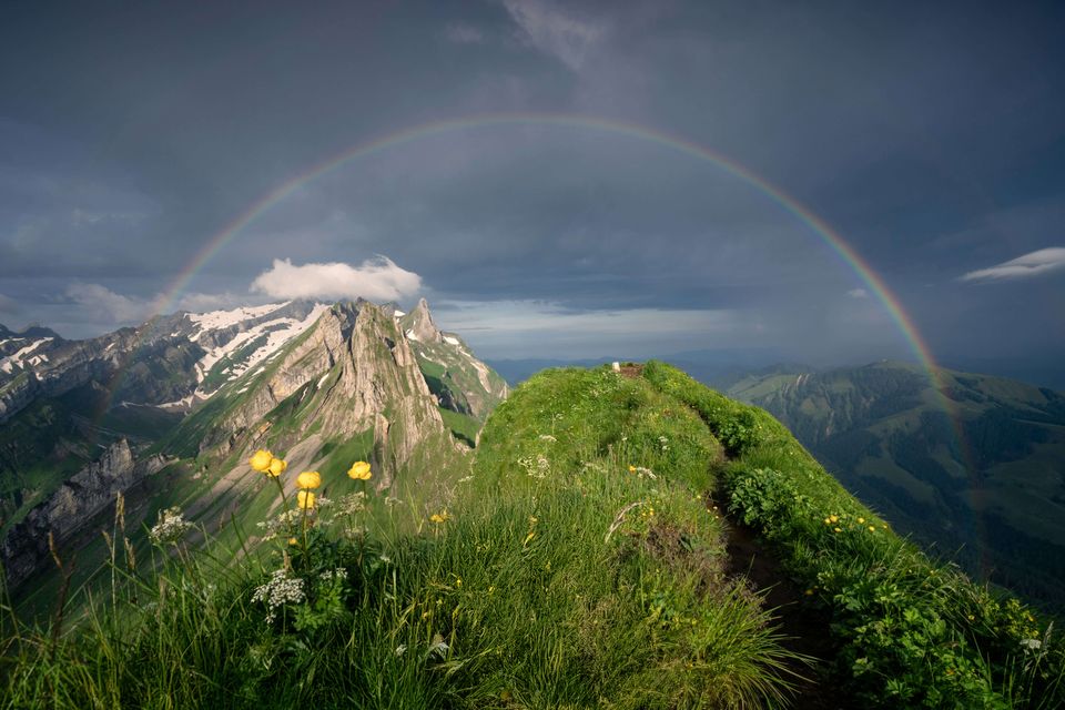 Rainbow