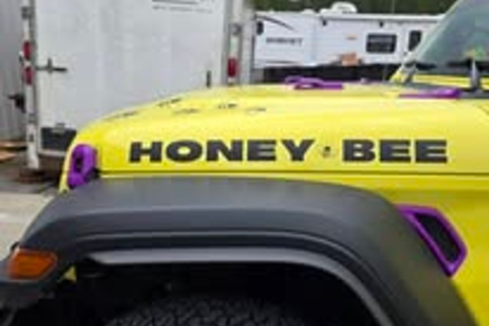 494028374 1124177456181460 6370795197373587598 n