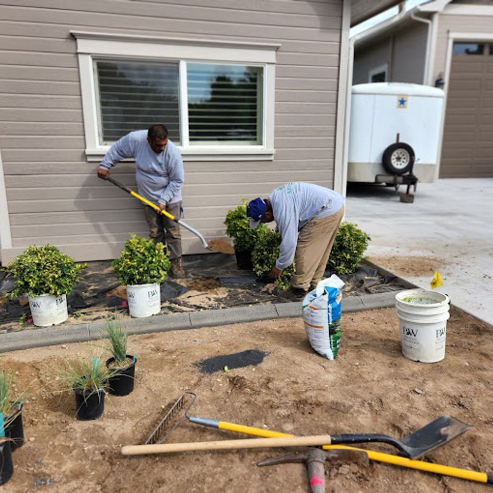 Artistree landscaping team