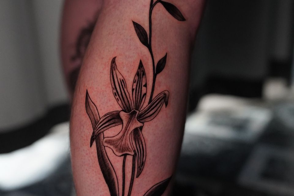 Image of a leg tattoo on a mans right leg of an orchid in black & grey