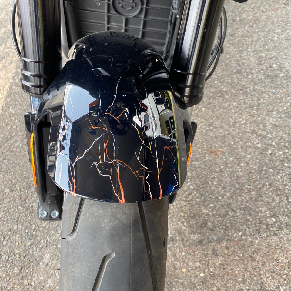 Creative custom pinstriping design and artistic projects created by Skeeter's Grafix.
