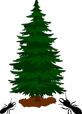 Lone Pine Exterminating Company