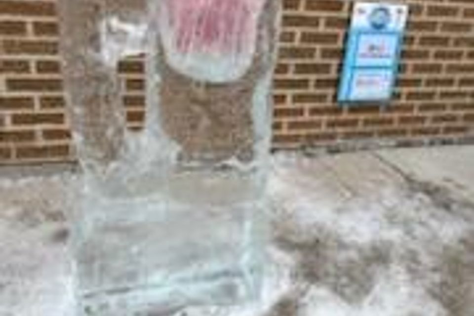 Ice carving 2025 42