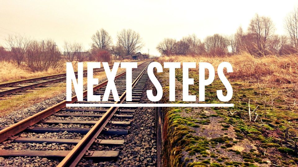 Next steps   website