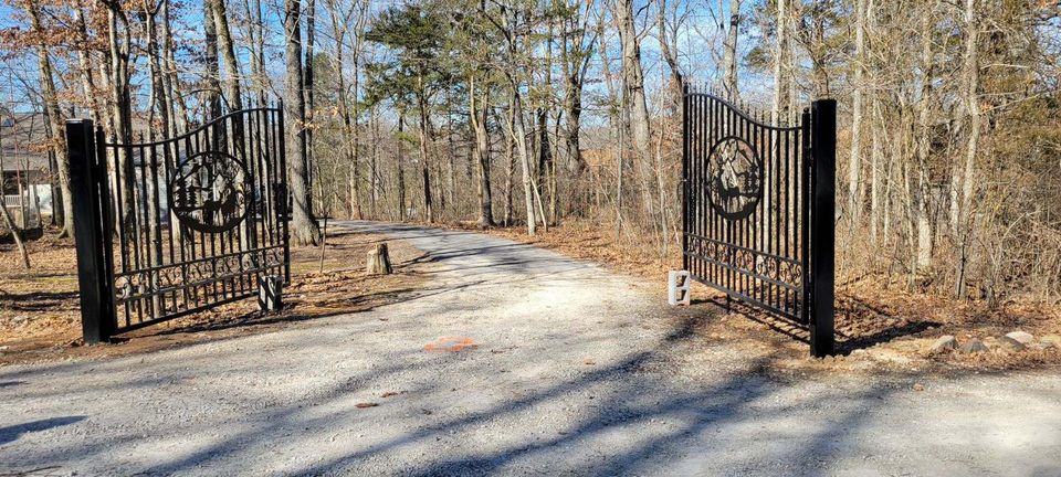 Custom iron automatic gate