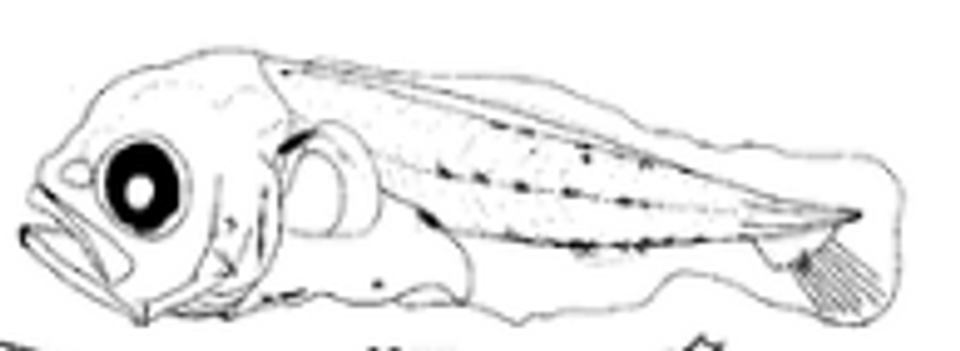 Screenshot 2025 10 15 140739