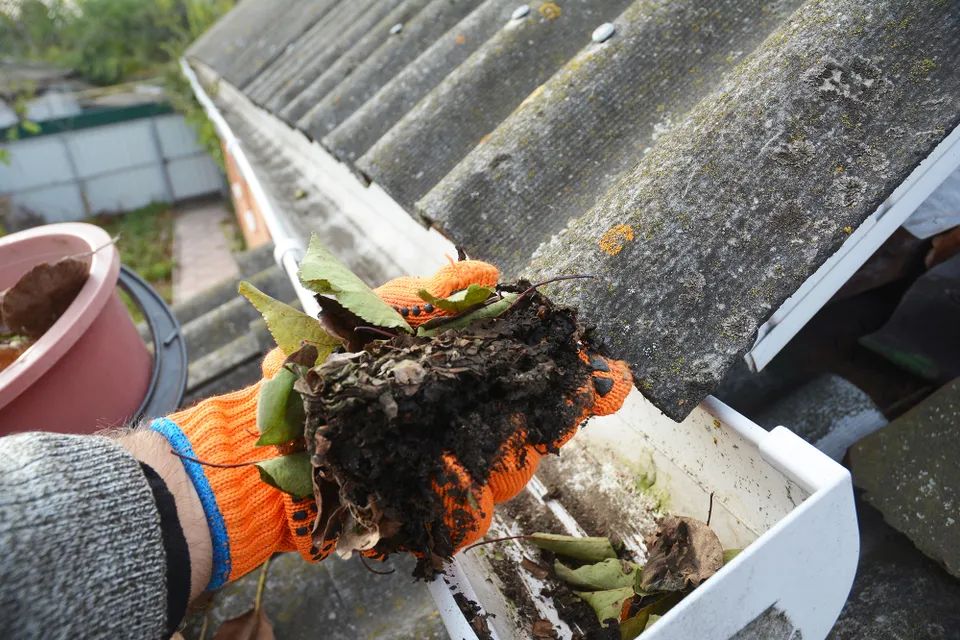 Gutter Cleaning