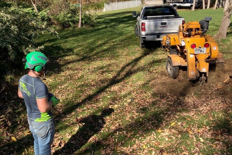 Stump grinding 