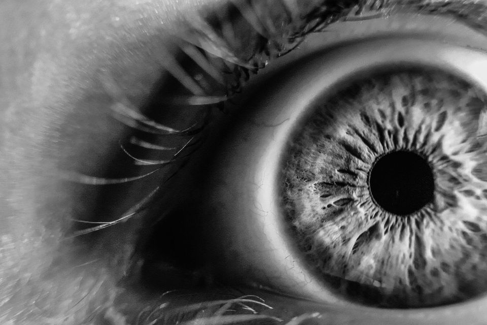 Common Eye Infections Treated by Optometrists Cullman Eyes