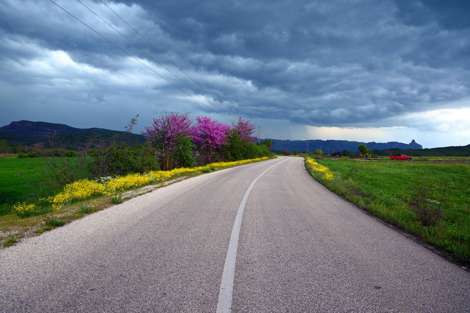 spring roads