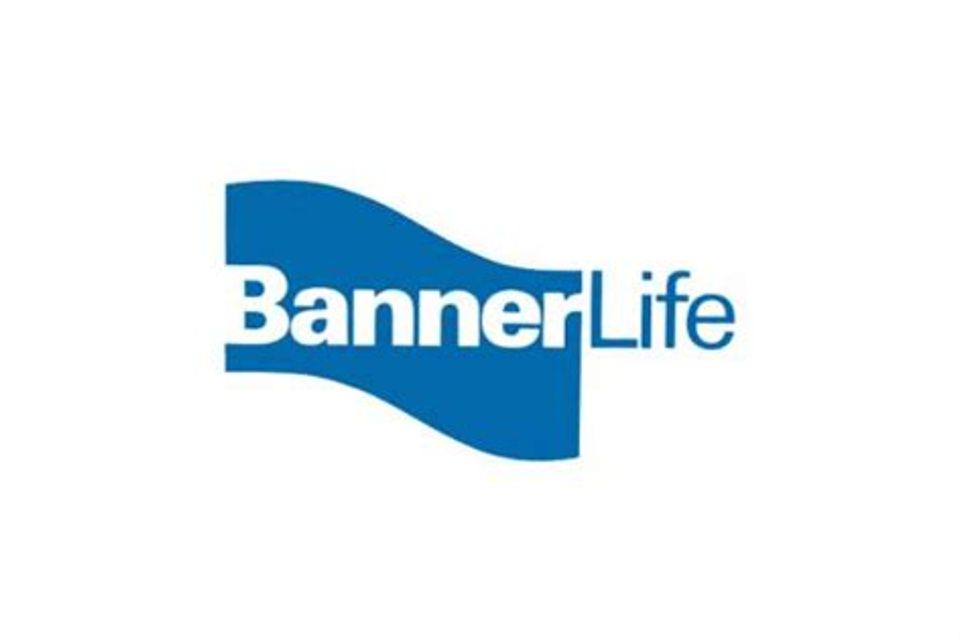 Bannerlife